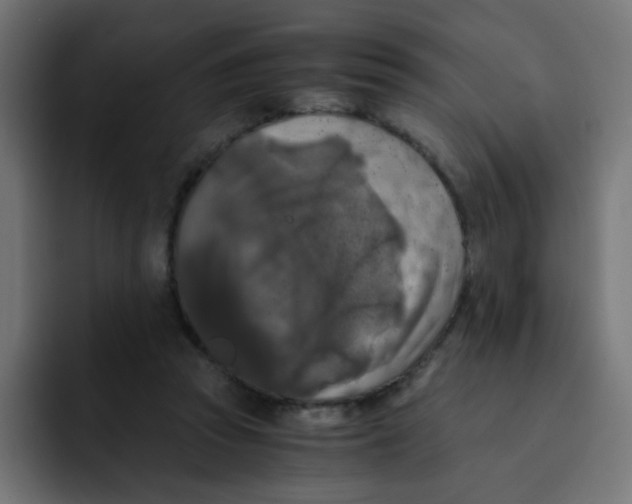 X0000092020353200710041047