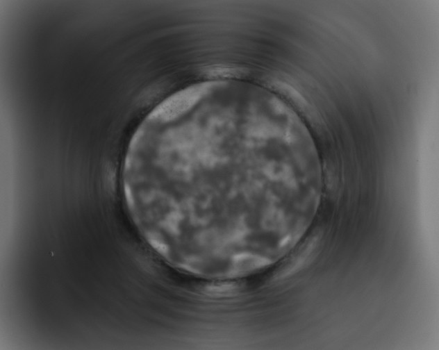 X0000092020357200710041047