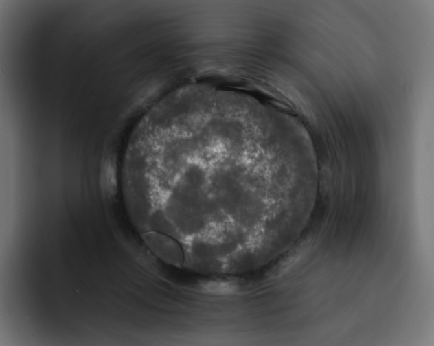 X0000092020358200710041047