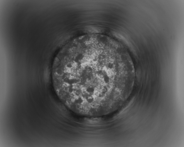 X0000092020359200710041047