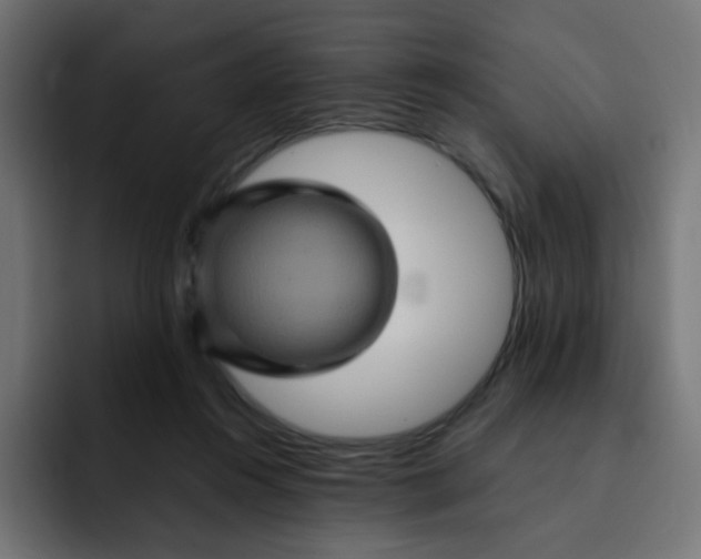 X0000092020360200710041047