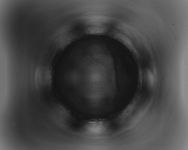 X0000092020362200710041048