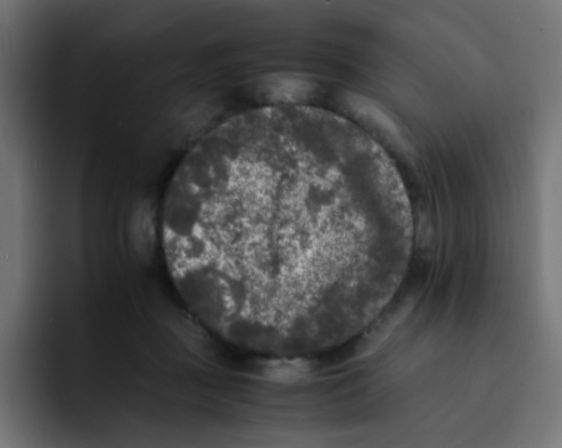 X0000092020363200710041048