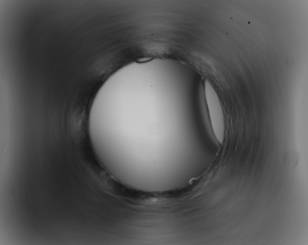 X0000092020364200710041048