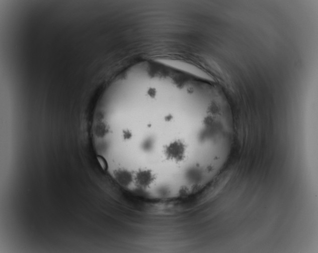 X0000092020366200710041048