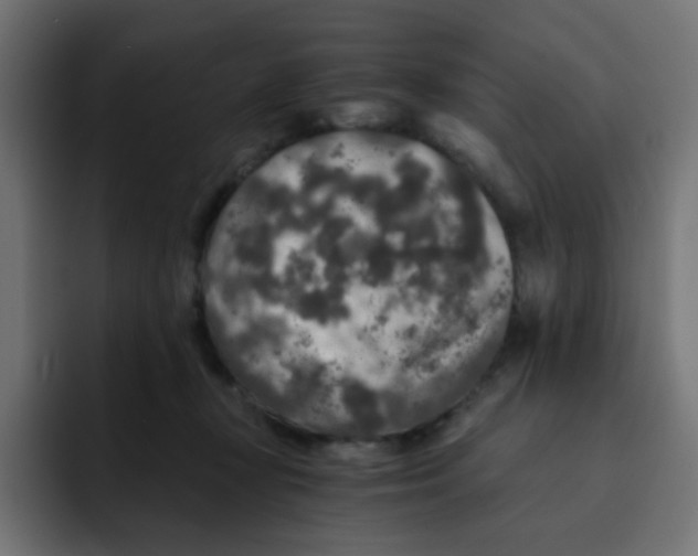 X0000092020367200710041048