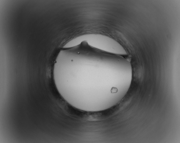 X0000092020368200710041048