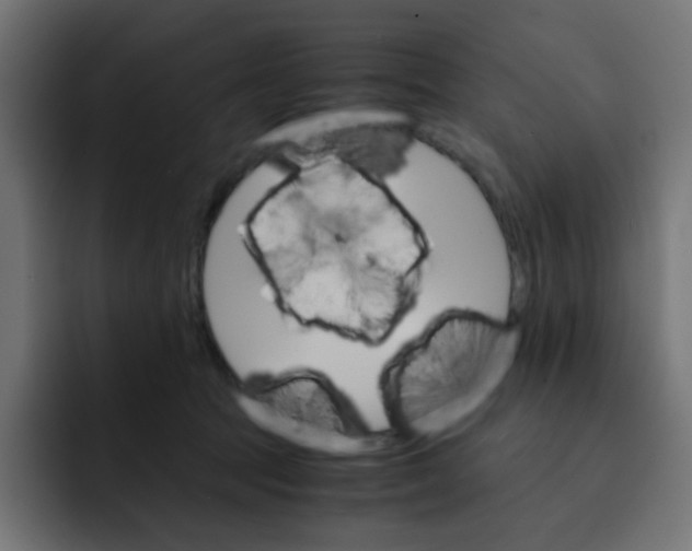 X0000092020369200710041048