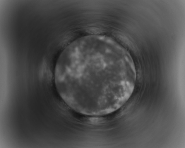 X0000092020371200710041048