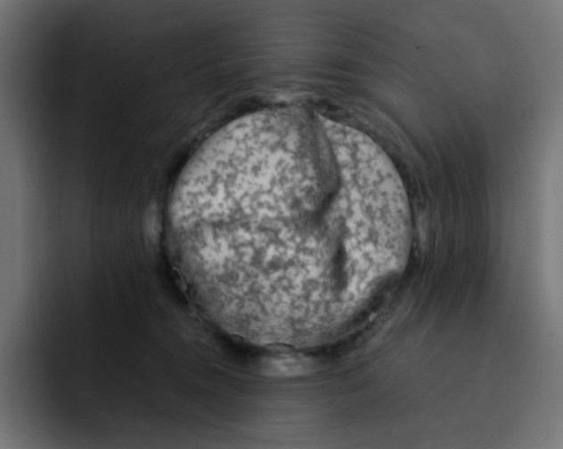 X0000092020372200710041048