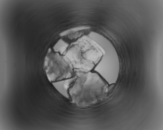 X0000092020373200710041048