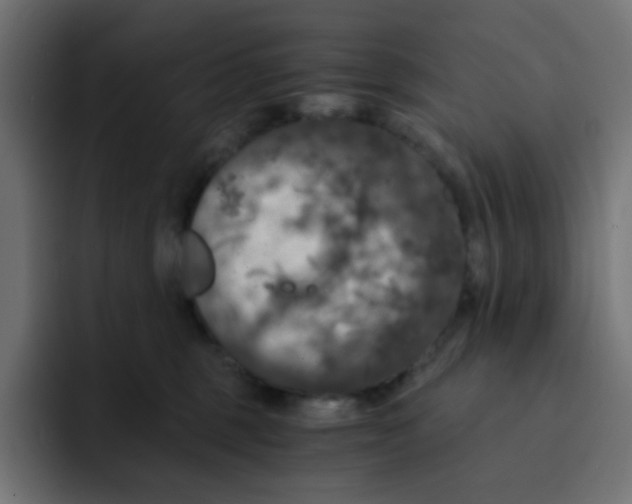 X0000092020375200710041048