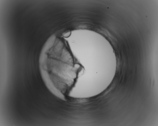 X0000092020377200710041048