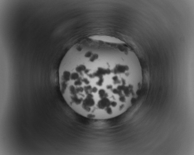 X0000092020383200710041048