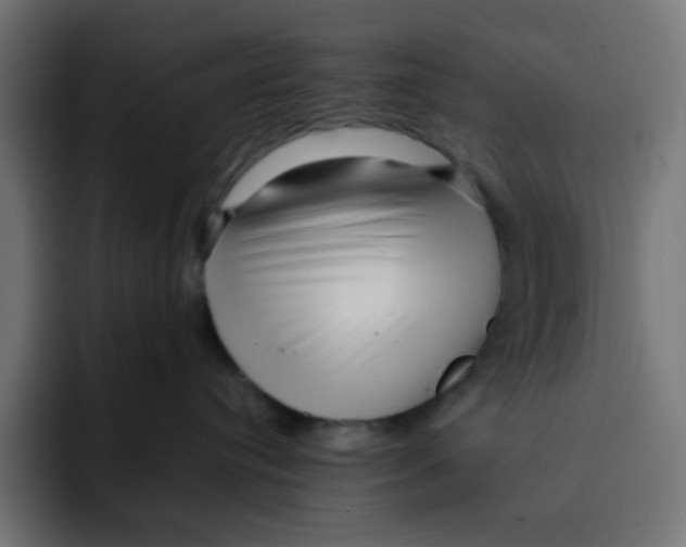 X0000092020384200710041048