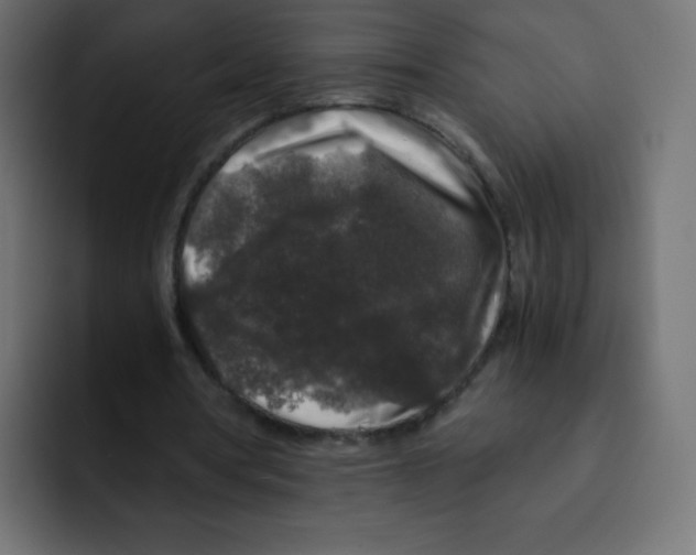 X0000092020386200710041047