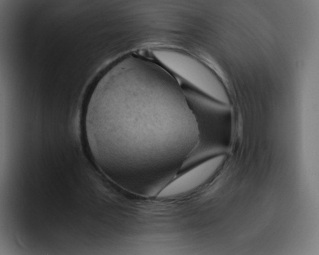 X0000092020387200710041047