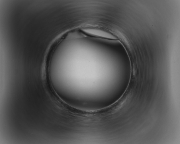 X0000092020388200710041047