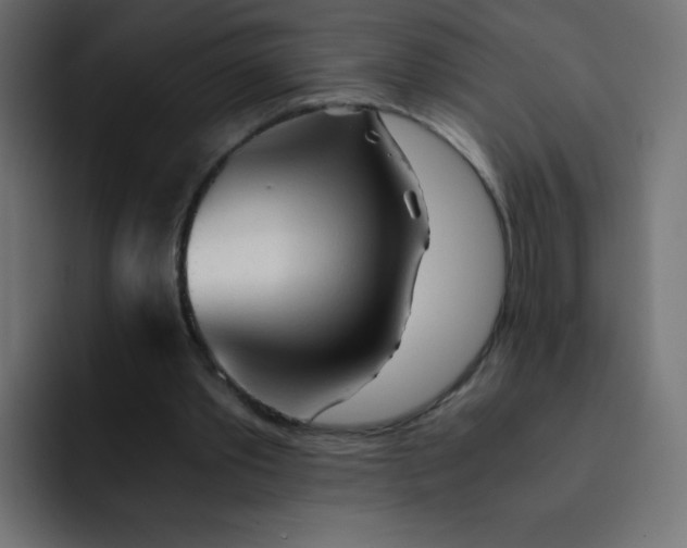 X0000092020389200710041047