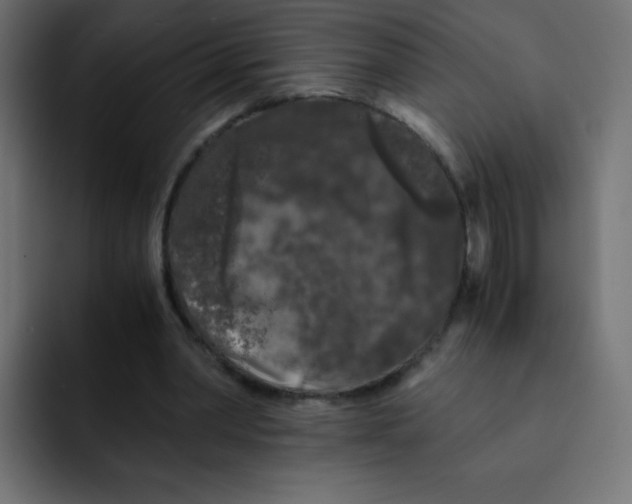 X0000092020390200710041047