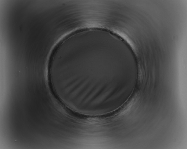 X0000092020391200710041047