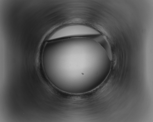 X0000092020392200710041047