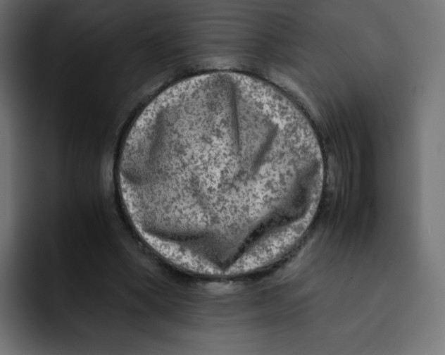 X0000092020394200710041047