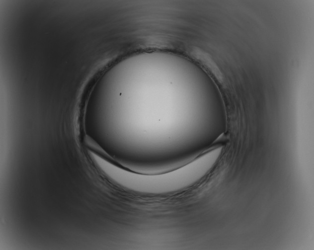 X0000092020395200710041047