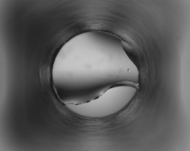 X0000092020397200710041047