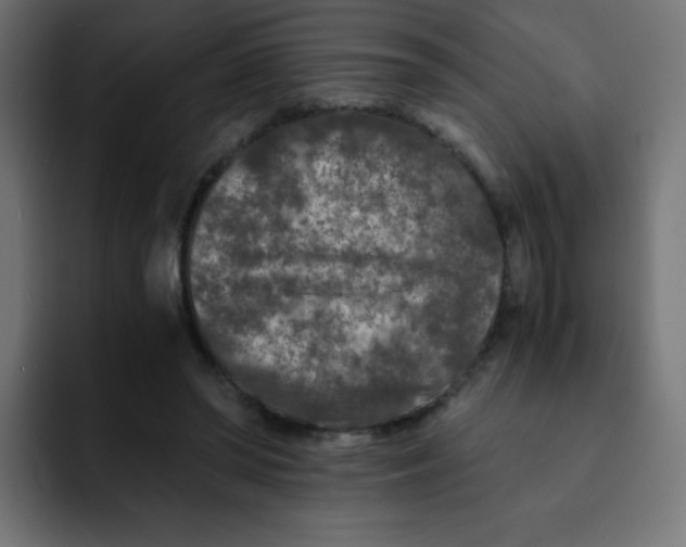 X0000092020398200710041047