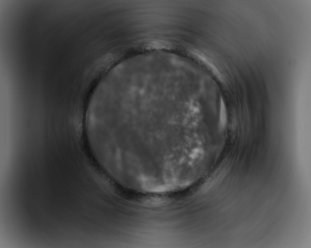 X0000092020402200710041047