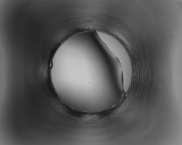 X0000092020403200710041047