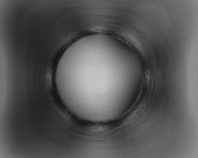 X0000092020404200710041047