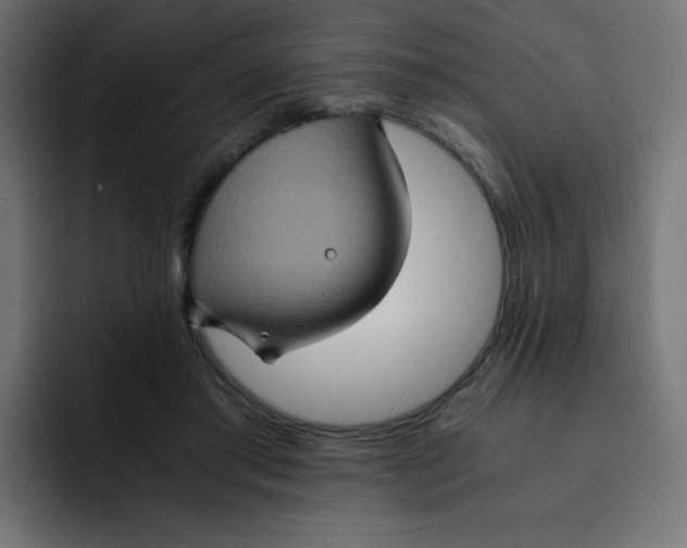 X0000092020405200710041047