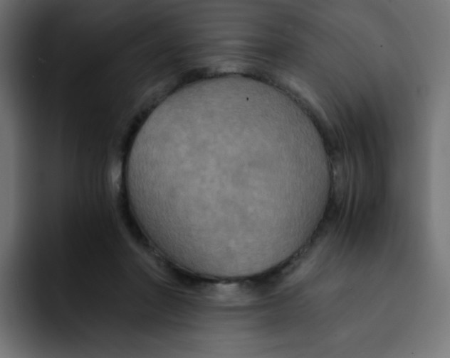 X0000092020406200710041047