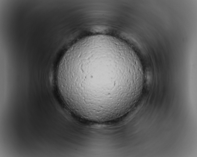 X0000092020408200710041047