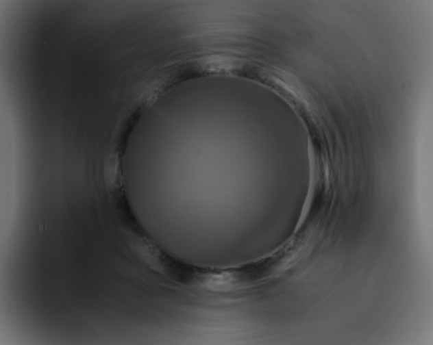 X0000092020411200710041047