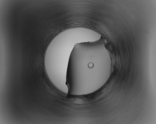 X0000092020412200710041047