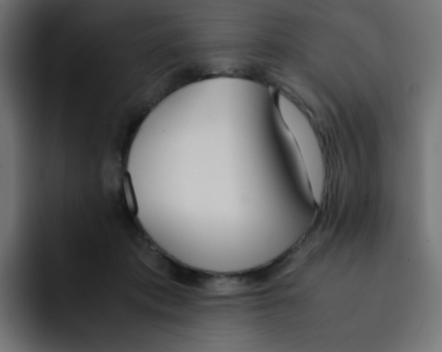 X0000092020413200710041047