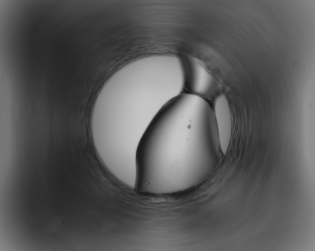 X0000092020415200710041047