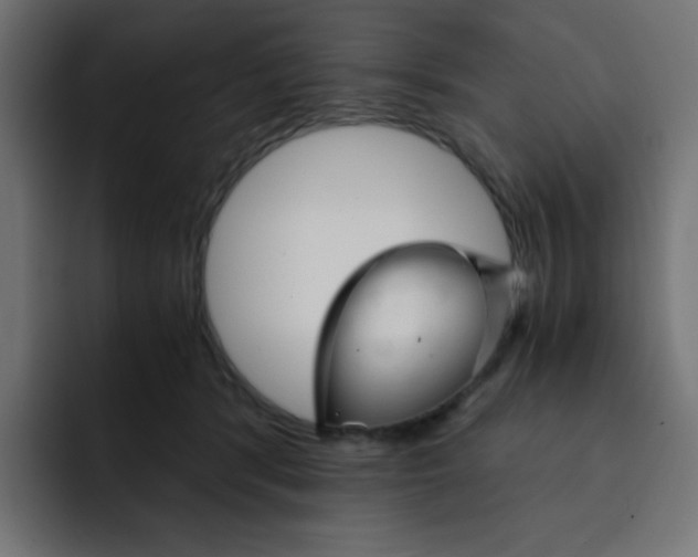 X0000092020416200710041047