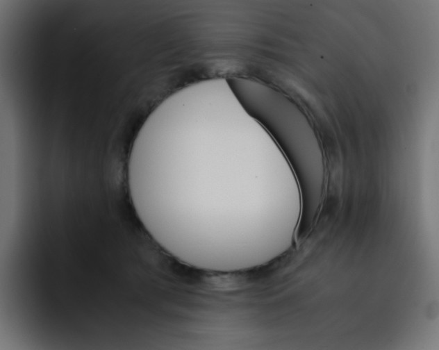 X0000092020417200710041047