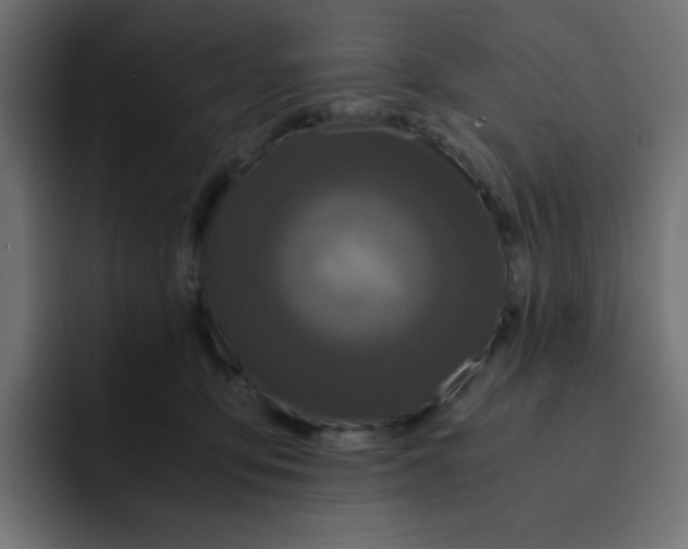 X0000092020419200710041047