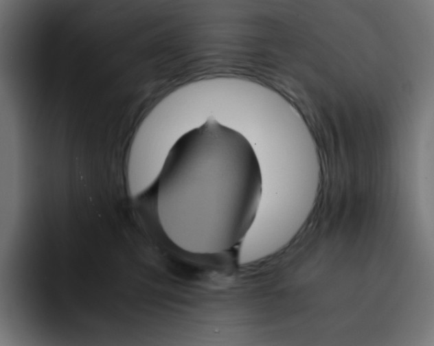 X0000092020423200710041047