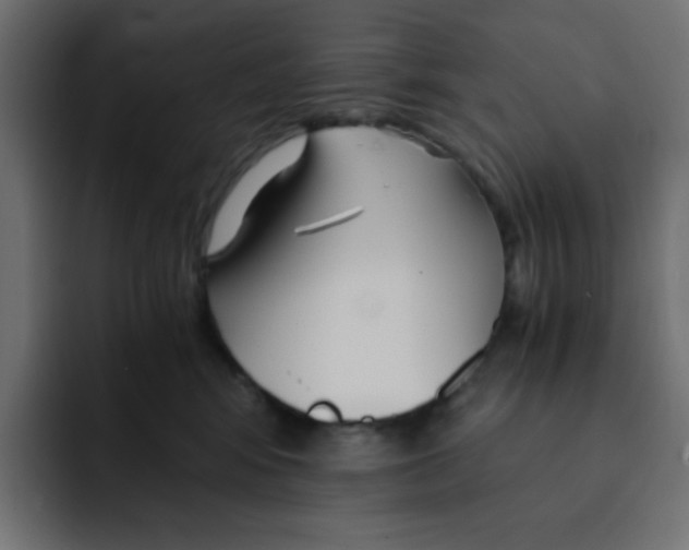 X0000092020424200710041047