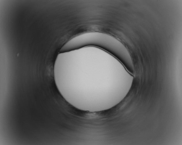 X0000092020425200710041047