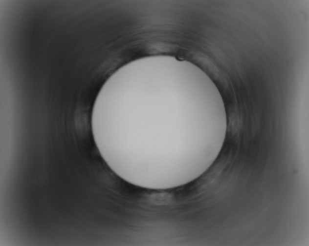 X0000092020426200710041047