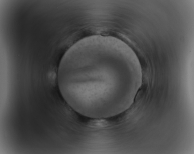 X0000092020427200710041047