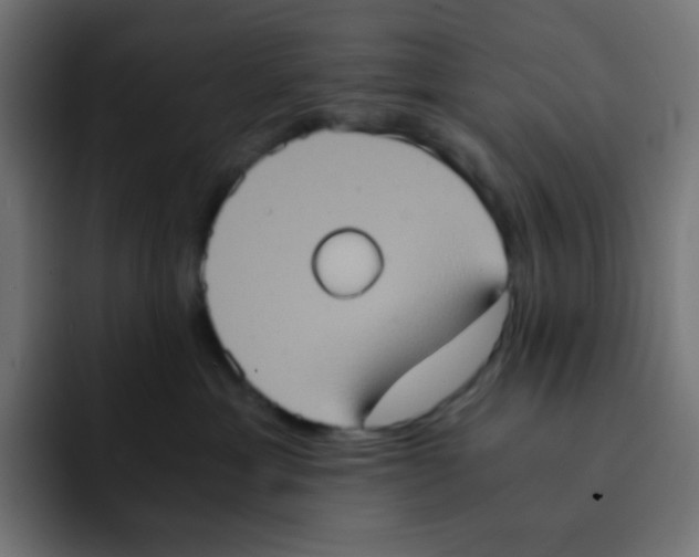 X0000092020429200710041047