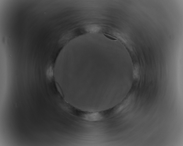 X0000092020431200710041047